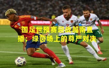 国足世预赛迎战越南直播:绿茵场上的尊严对决