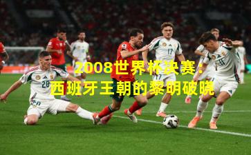 2008世界杯决赛：西班牙王朝的黎明破晓