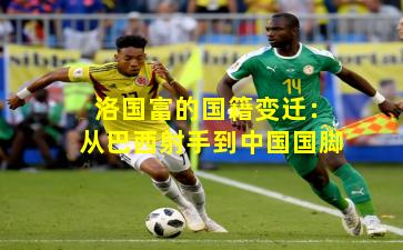 洛国富的国籍变迁:从巴西射手到中国国脚