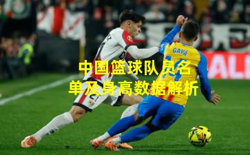 中国篮球队员名单及身高数据解析