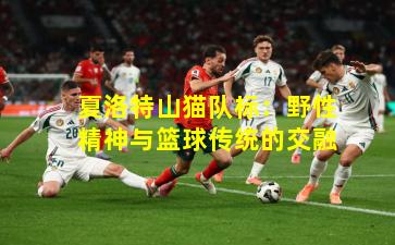 夏洛特山猫队标:野性精神与篮球传统的交融